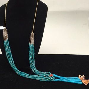 Turquoise Bone Necklace